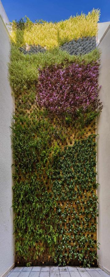 Nature By Raidom لقنت المظهر الخارجي الصورة